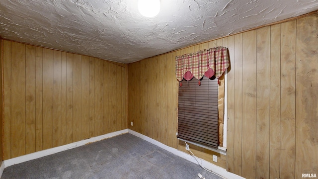 empty room featuring wood walls and carpet floors