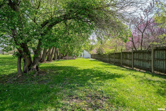 212 S Cone St, Farmington, IL 61531 - view of yard featuring an outdoor structure, a storage unit, and fence