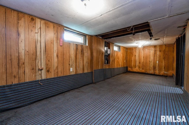 below grade area with wood walls and carpet flooring