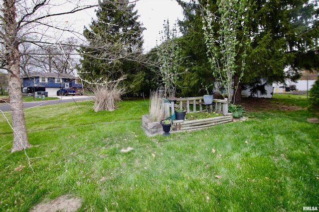 view of yard