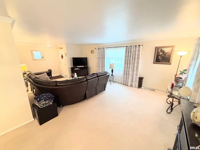living room featuring carpet, visible vents, crown molding, and baseboards