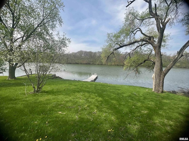 water view with a forest view