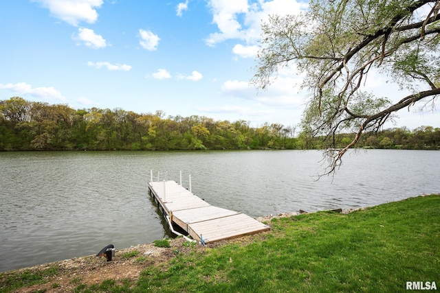 dock area featuring a water view and a wooded view