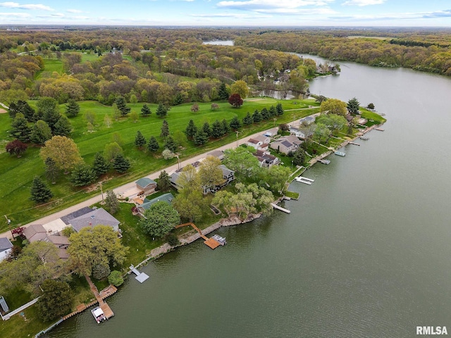 bird's eye view with a view of trees and a water view