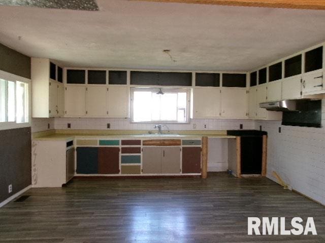 kitchen featuring dark wood-type flooring, a healthy amount of sunlight, exhaust hood, and a sink