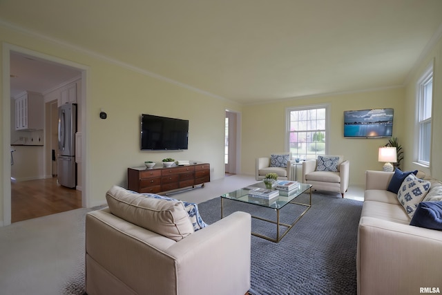 living area with crown molding
