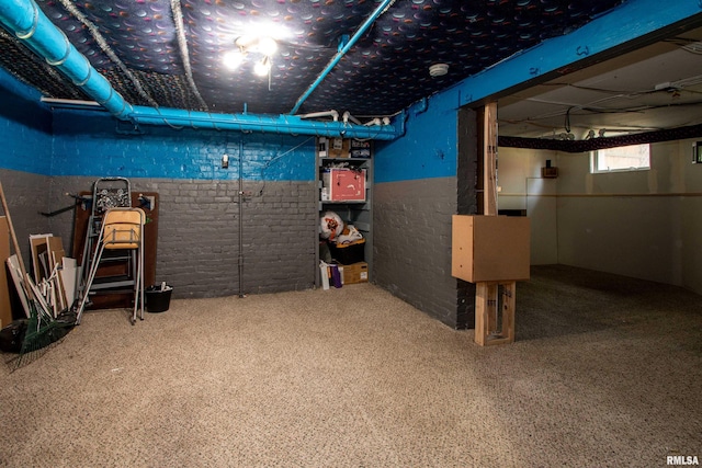 basement with brick wall
