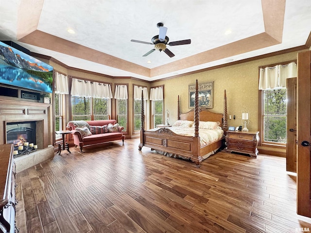 bedroom with a glass covered fireplace, a raised ceiling, ceiling fan, and wood-type flooring