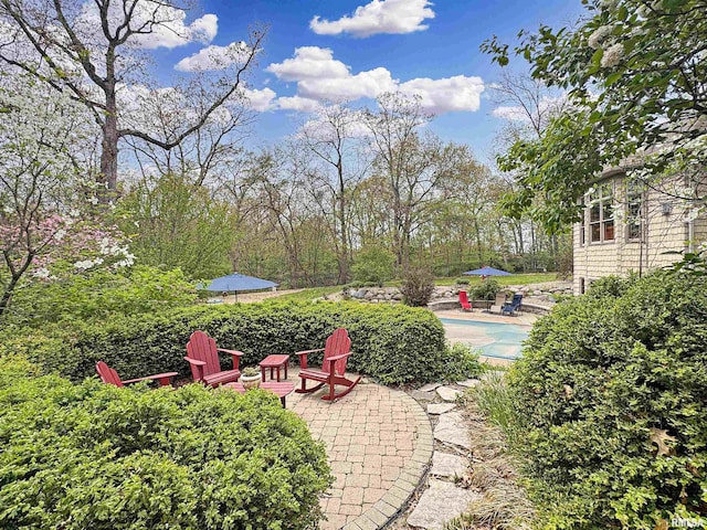 view of yard featuring a swimming pool and a patio area