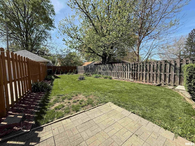 view of yard featuring a patio and a fenced backyard