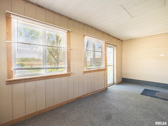 carpeted empty room with wooden walls, baseboards, and a healthy amount of sunlight