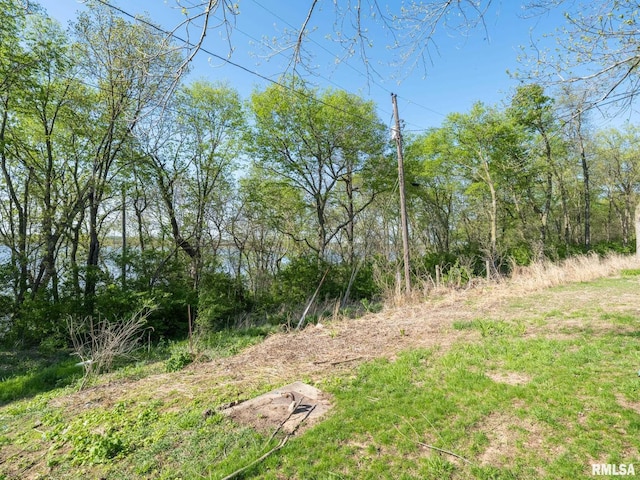 view of nature