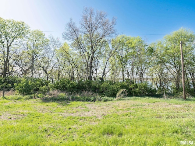 view of local wilderness