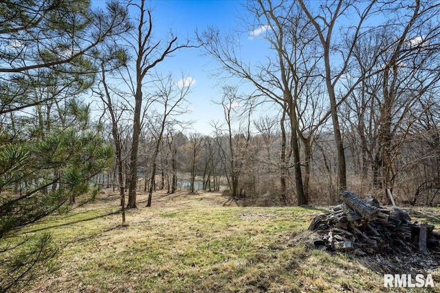 view of yard with a view of trees