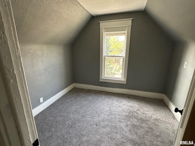921 W Brons Ave, Peoria, IL 61604 - bonus room with lofted ceiling, a textured ceiling, baseboards, and carpet floors