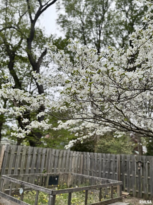 711 E Piper St, Macomb, IL 61455 - view of fenced backyard