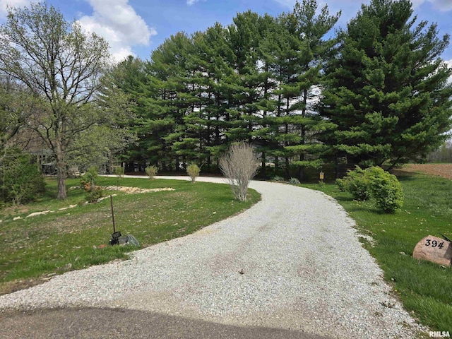 view of front of property featuring driveway and a front lawn