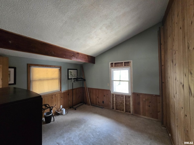 interior space featuring carpet floors, wood walls, wainscoting, lofted ceiling, and a textured ceiling