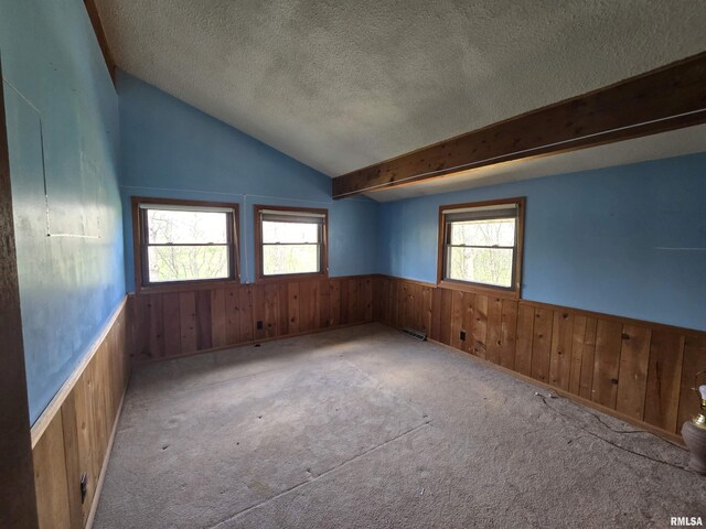 carpeted empty room with vaulted ceiling, wainscoting, wood walls, and a textured ceiling