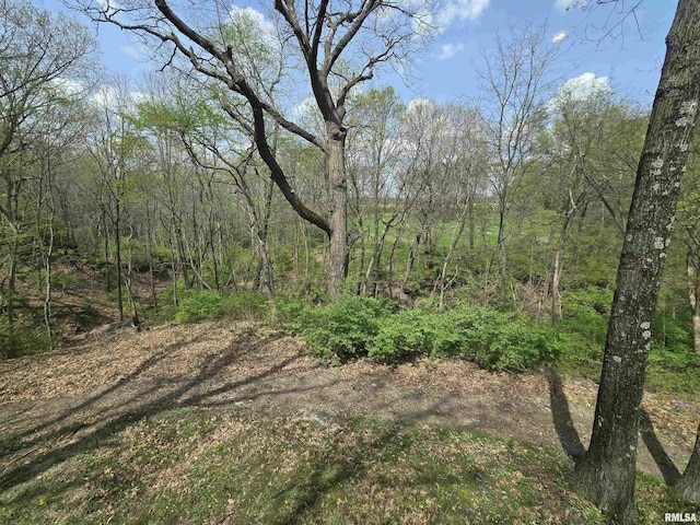 view of landscape featuring a wooded view