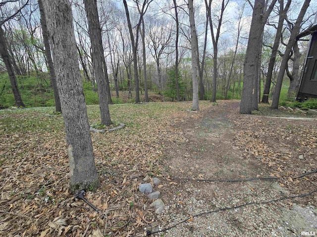 view of yard with a forest view