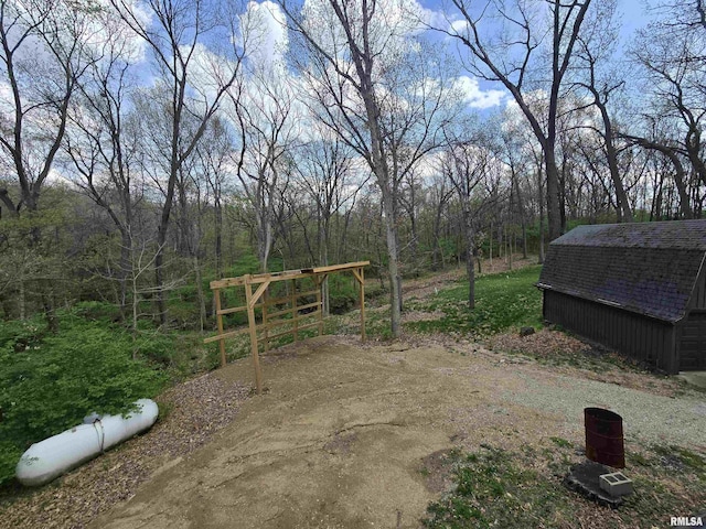 view of yard featuring an outdoor structure