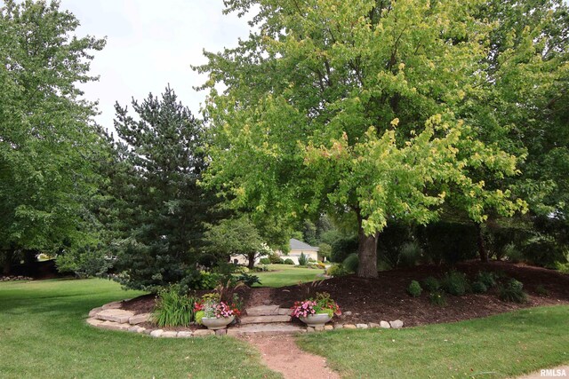 5727 W Woodbriar Ln, Peoria, IL 61615 - view of grassy yard