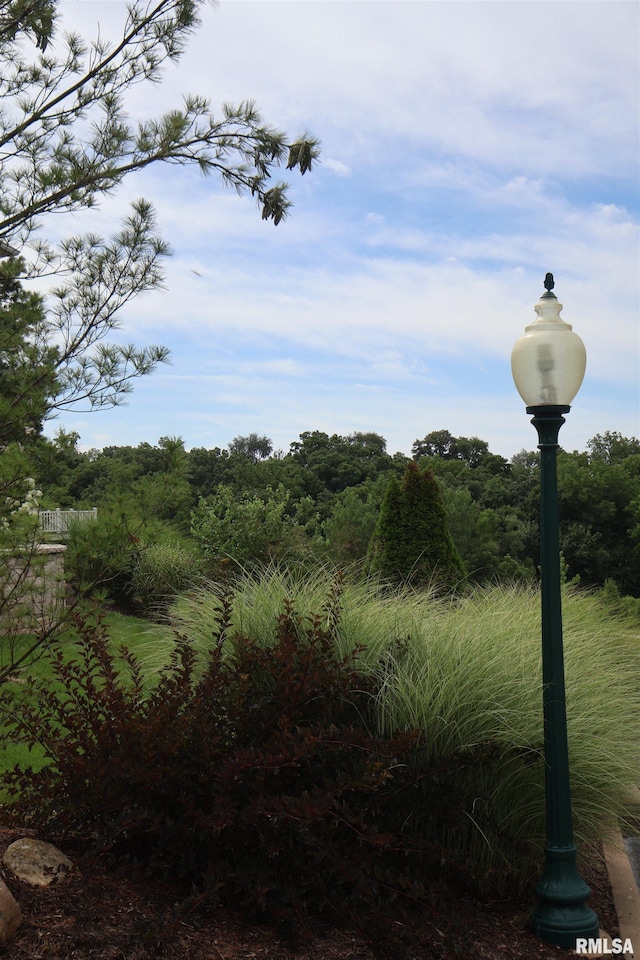 5727 W Woodbriar Ln, Peoria, IL 61615 - view of undeveloped land