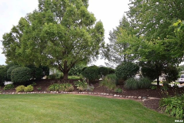 5727 W Woodbriar Ln, Peoria, IL 61615 - view of grassy yard