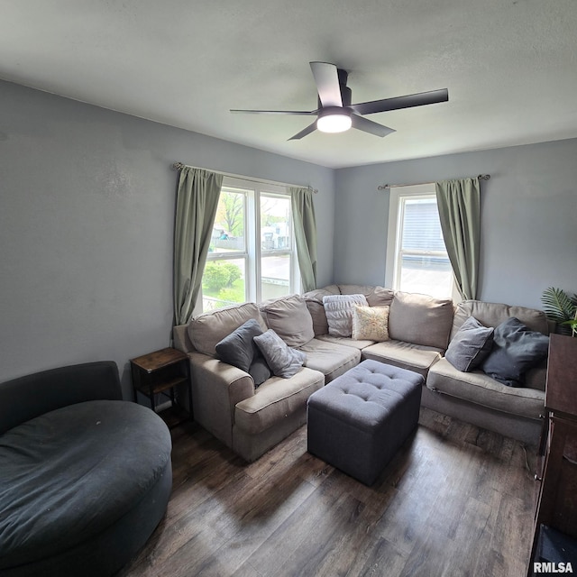 living area with plenty of natural light, a ceiling fan, and wood finished floors