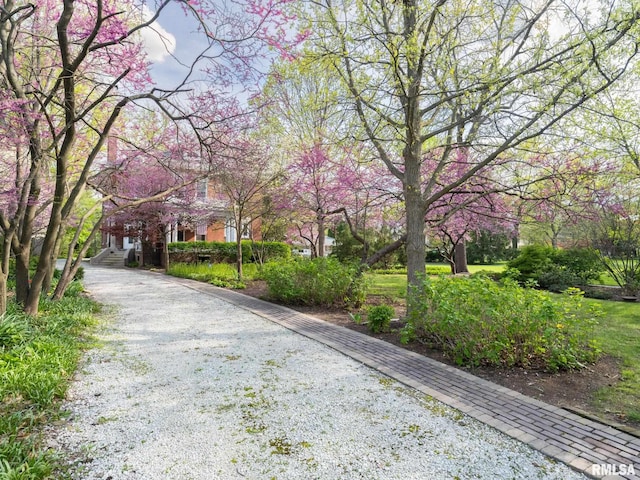 view of road featuring stairs and gravel driveway