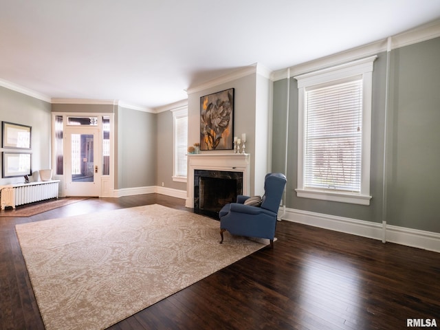 living area with baseboards, radiator, dark wood-style flooring, and a premium fireplace