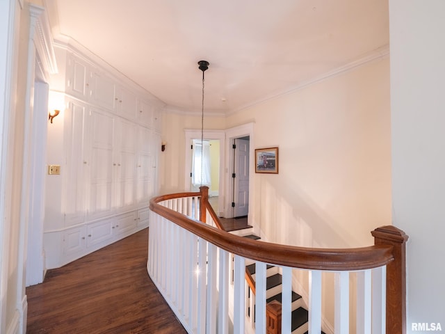 hallway featuring crown molding, dark wood-style floors, and an upstairs landing