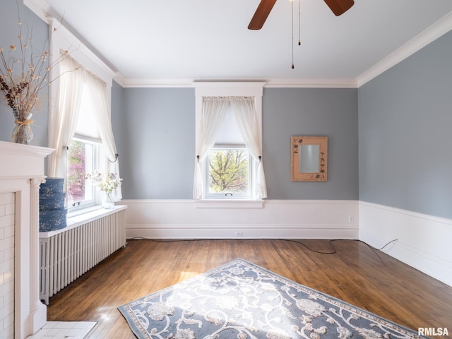 bonus room featuring radiator, ceiling fan, wood finished floors, and a wealth of natural light