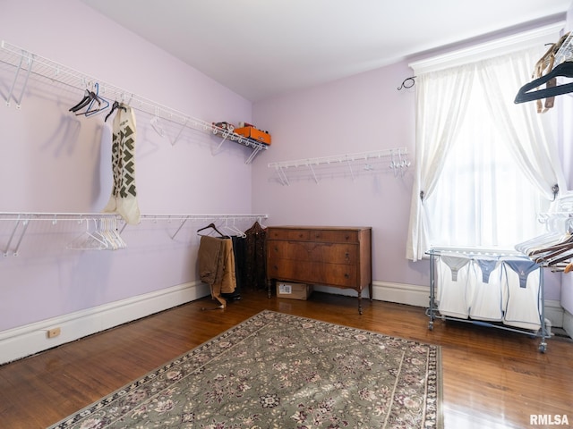 spacious closet featuring wood finished floors