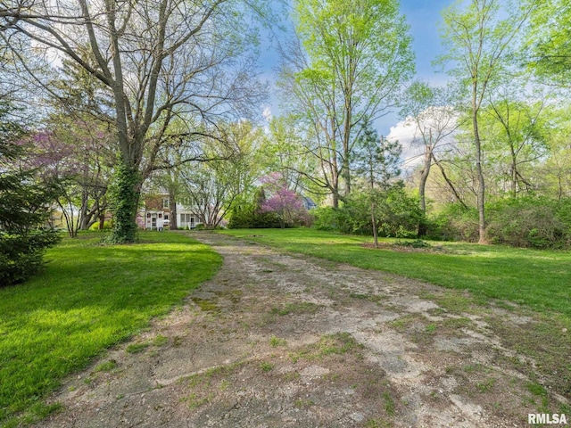 view of road featuring driveway