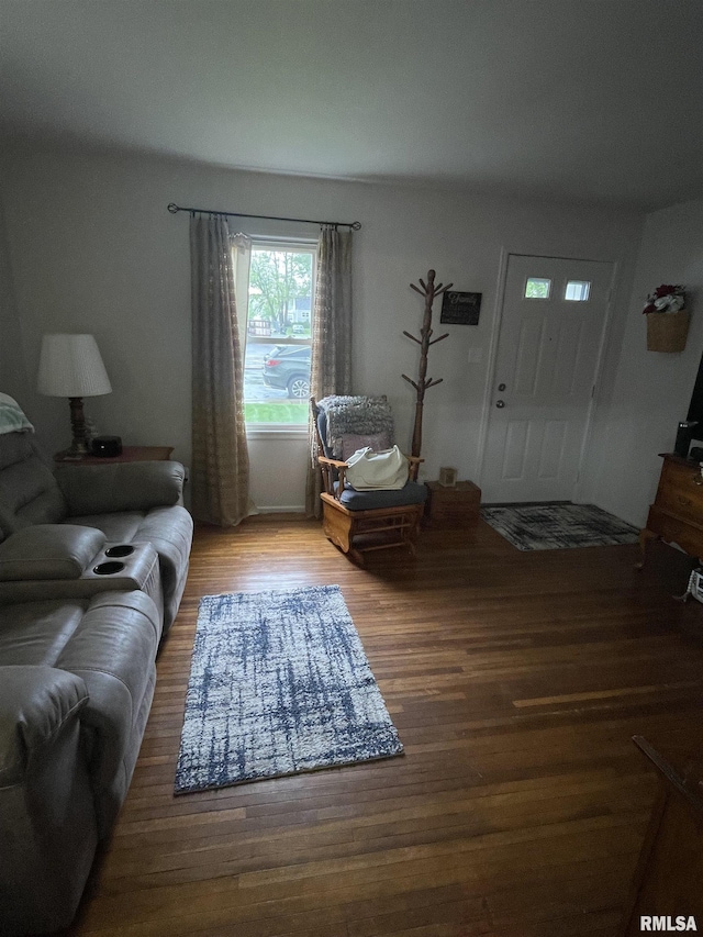 living room with wood finished floors