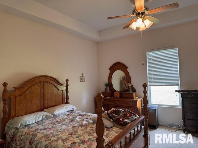 24211 N Carver Rd, Canton, IL 61520 - bedroom with light colored carpet and a ceiling fan