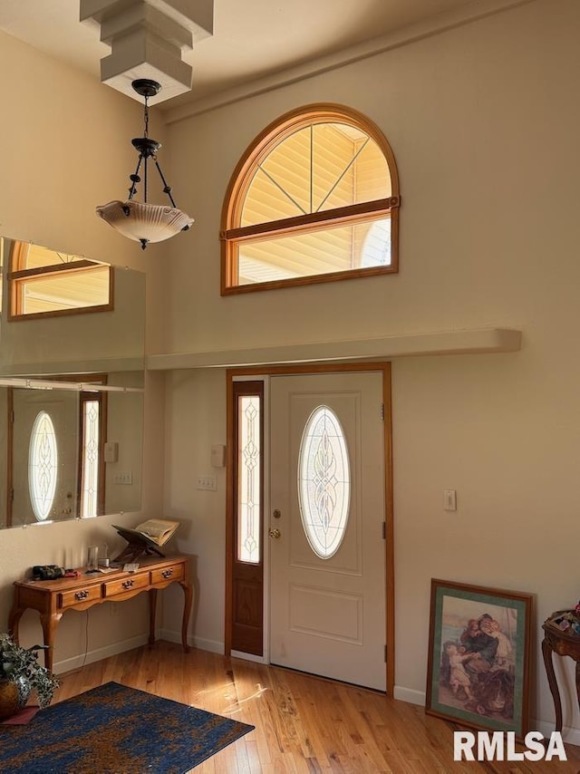 24211 N Carver Rd, Canton, IL 61520 - foyer entrance with a high ceiling, light wood finished floors, and baseboards