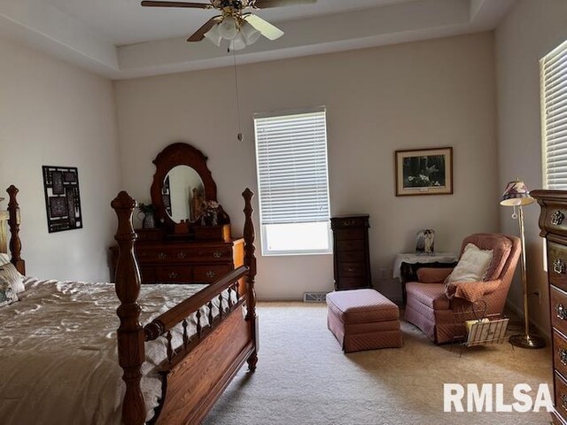 24211 N Carver Rd, Canton, IL 61520 - photo 22