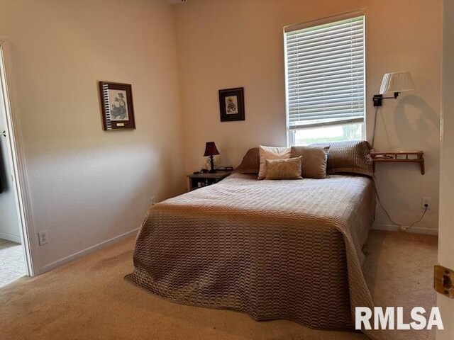 24211 N Carver Rd, Canton, IL 61520 - photo 23