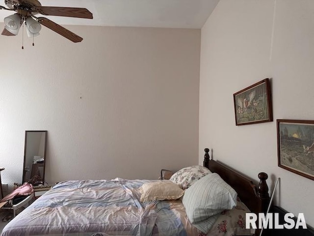 24211 N Carver Rd, Canton, IL 61520 - bedroom with ceiling fan