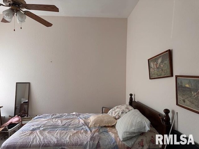 24211 N Carver Rd, Canton, IL 61520 - photo 28