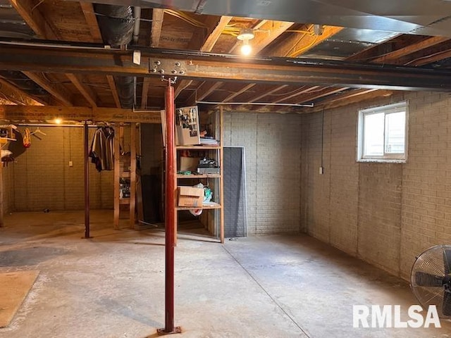 24211 N Carver Rd, Canton, IL 61520 - basement with brick wall