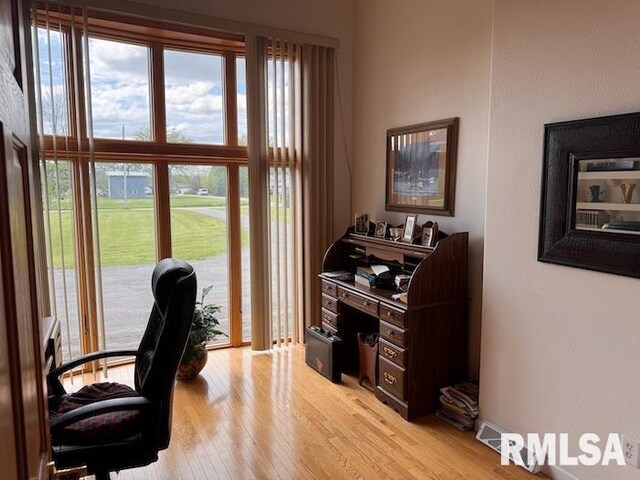 24211 N Carver Rd, Canton, IL 61520 - home office featuring light wood finished floors