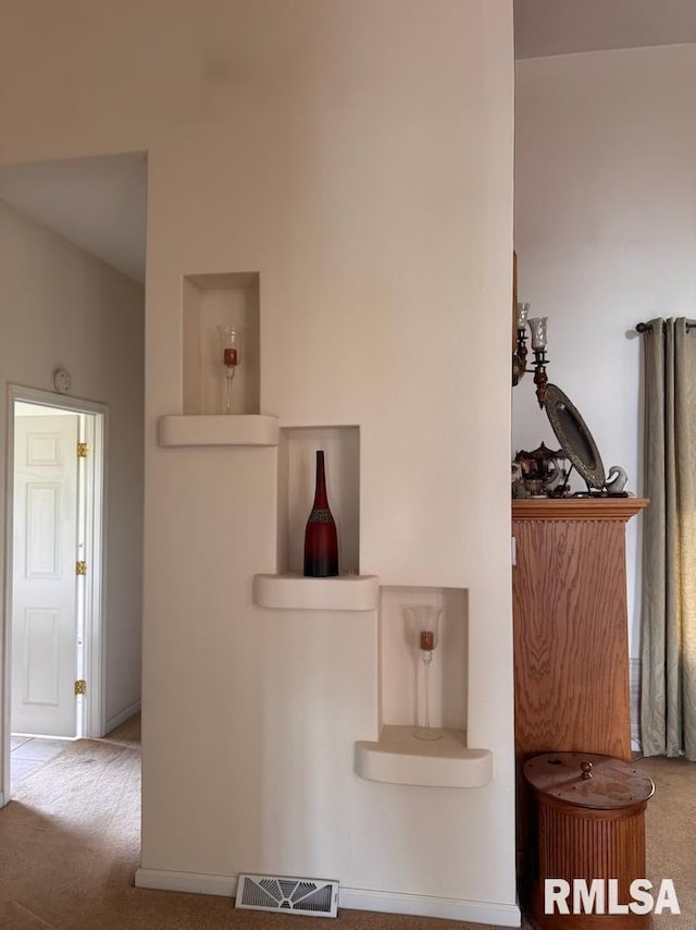 24211 N Carver Rd, Canton, IL 61520 - detailed view of carpet