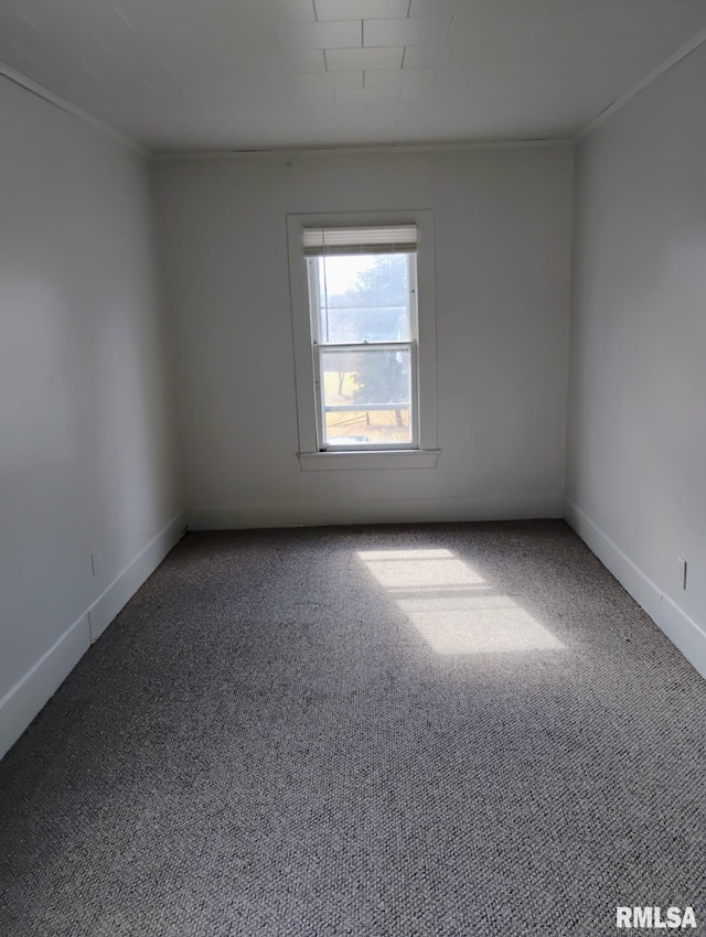 301 Cortland Ave, Avon, IL 61415 - unfurnished room with ornamental molding, carpet, and baseboards