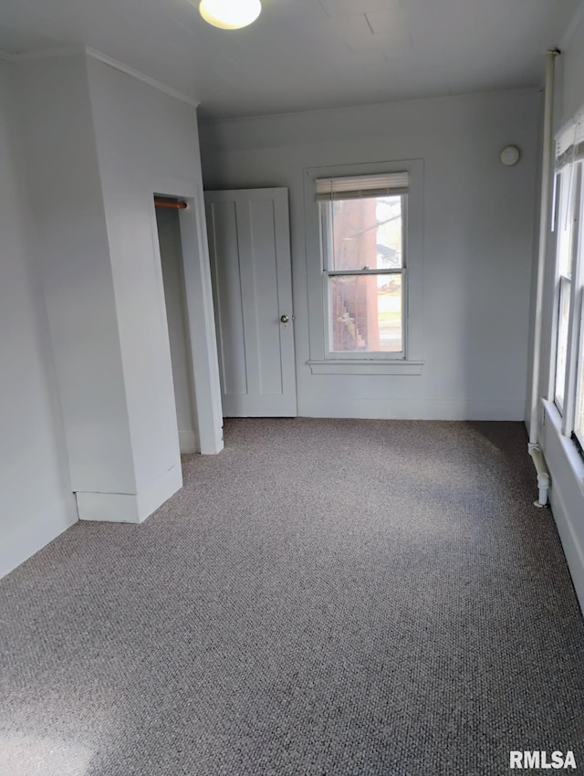 301 Cortland Ave, Avon, IL 61415 - unfurnished room with healthy amount of natural light and carpet floors