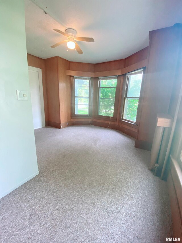 301 Cortland Ave, Avon, IL 61415 - carpeted spare room featuring plenty of natural light, a ceiling fan, and baseboards
