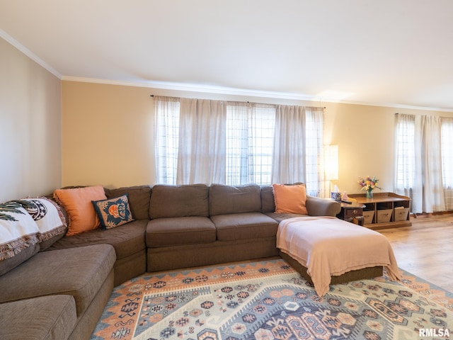 living room with ornamental molding and wood finished floors